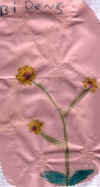 bidens ophelie.jpg (71114 octets)