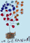 dgeranium hugo.jpg (98465 octets)