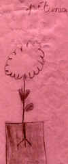 petunia andrea.jpg (70521 octets)