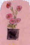 petunia delphine.jpg (48574 octets)